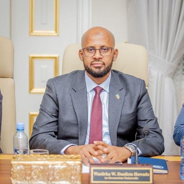 E-Visa Collapse: Mogadishu’s Latest Failure, Somaliland’s Strongest Proof