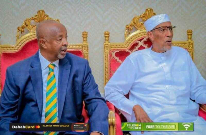 Somaliland’s Parties Committee Forces Opposition Kulmiye to Hold Leadership Vote