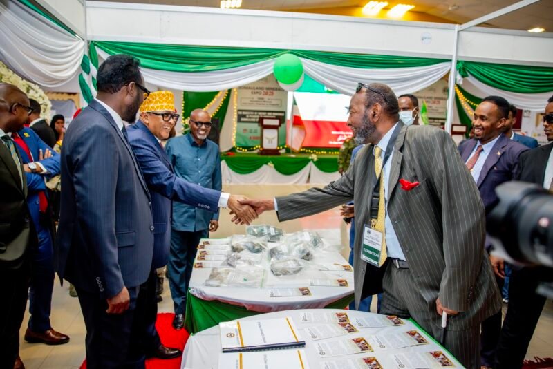 President Irro Unveils Historic Minerals Expo to Global Investors