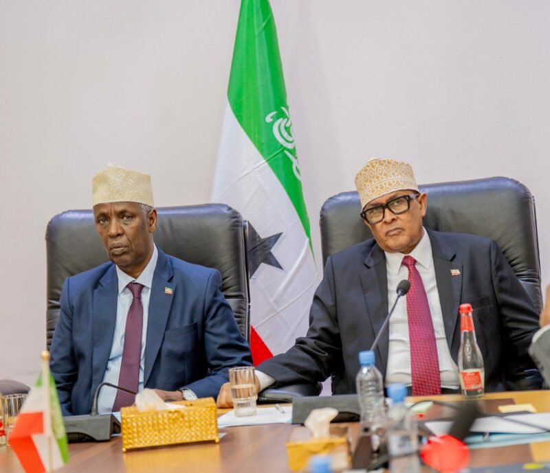 Irro’s Cabinet Signals Governance Shift as Somaliland Moves From Recognition Campaign to Statecraft