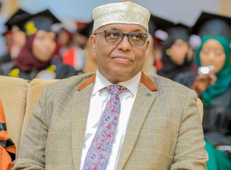 Inside KAAH: Power Struggle Between Hashi and Qabyo